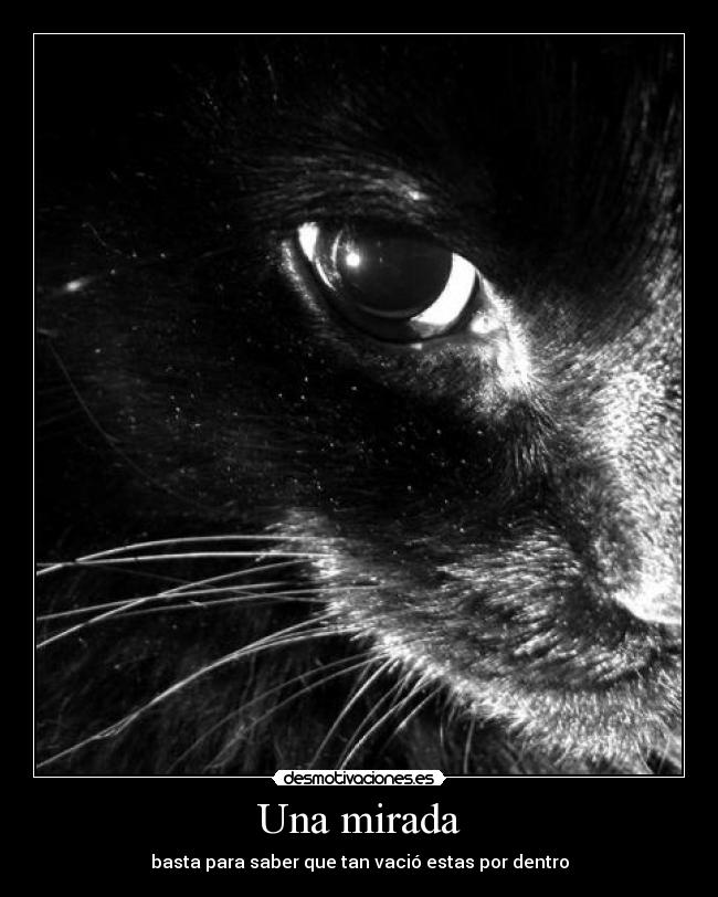 carteles una mirada desmotivaciones