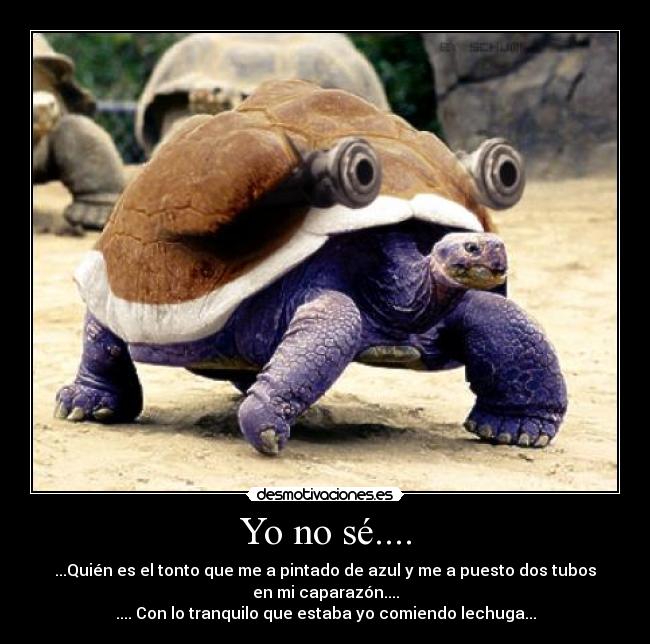 Yo no sé.... - ...Quién es el tonto que me a pintado de azul y me a puesto dos tubos
en mi caparazón....
.... Con lo tranquilo que estaba yo comiendo lechuga...