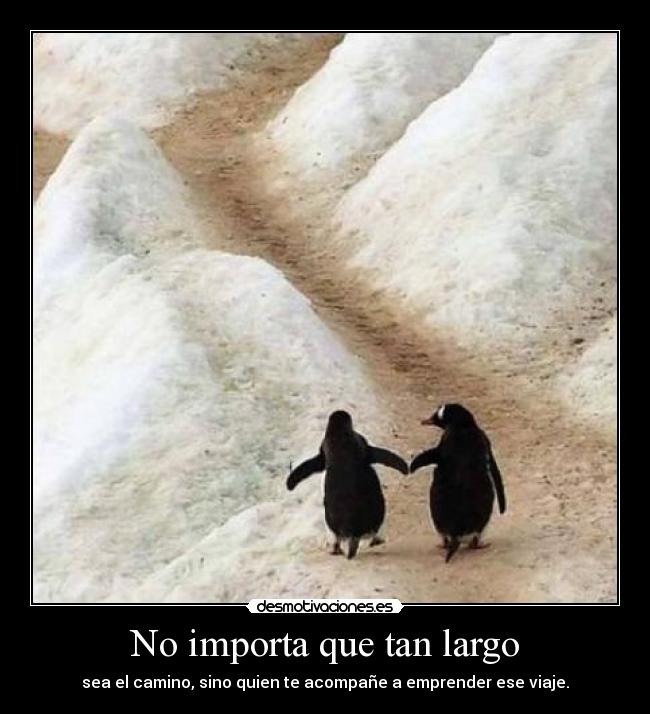 No importa que tan largo -
