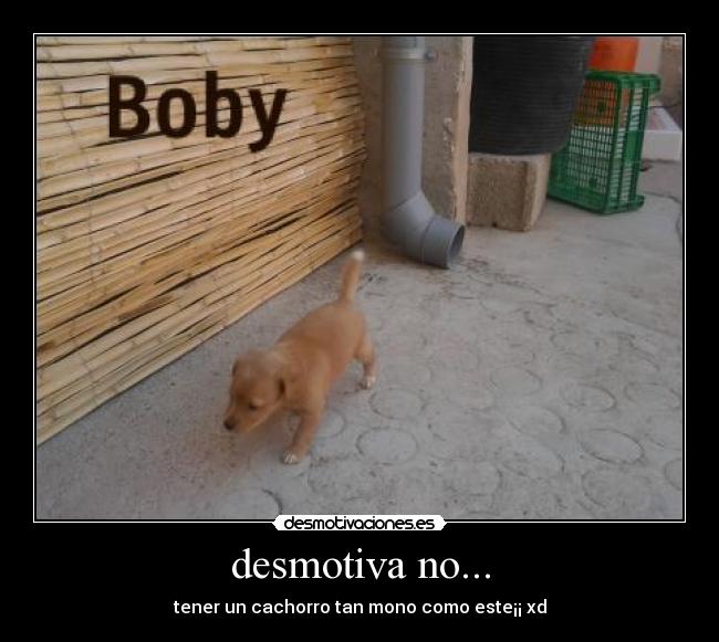 carteles nerea desmotivaciones