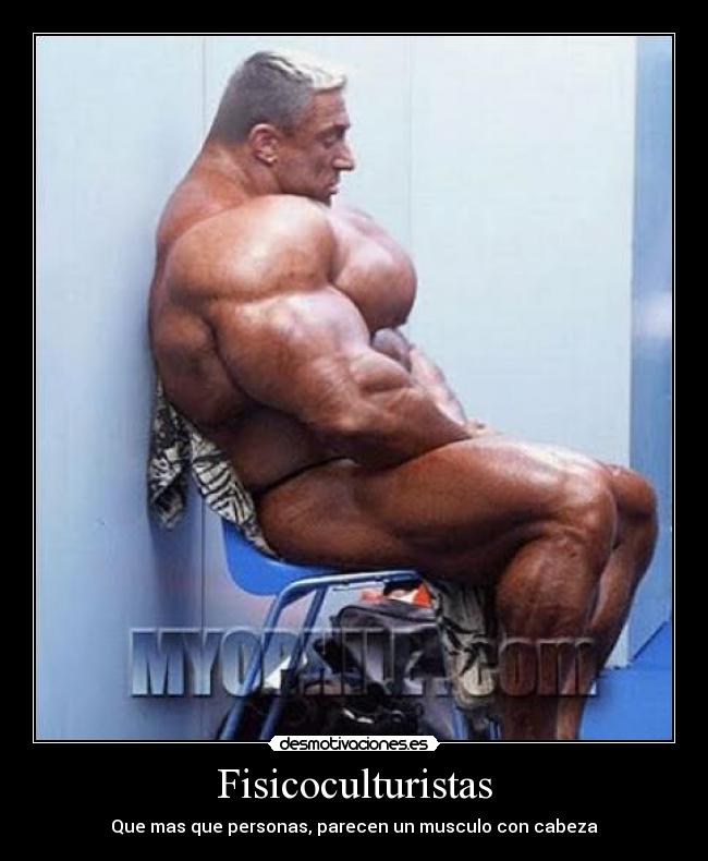 Fisicoculturistas -