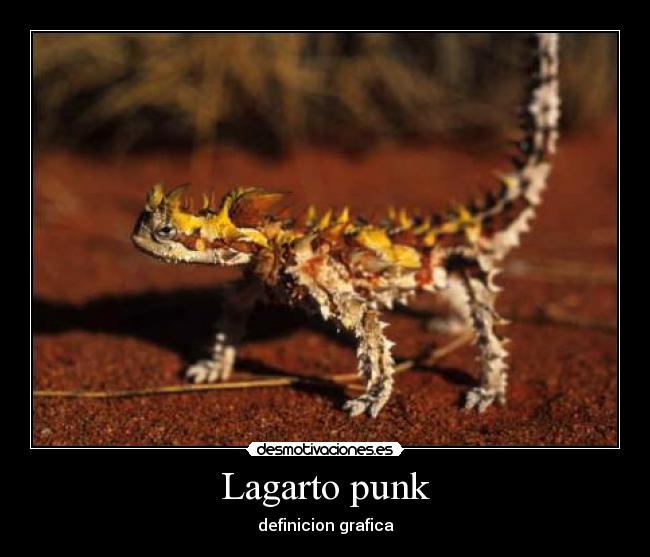 carteles lagarto molon desmotivaciones