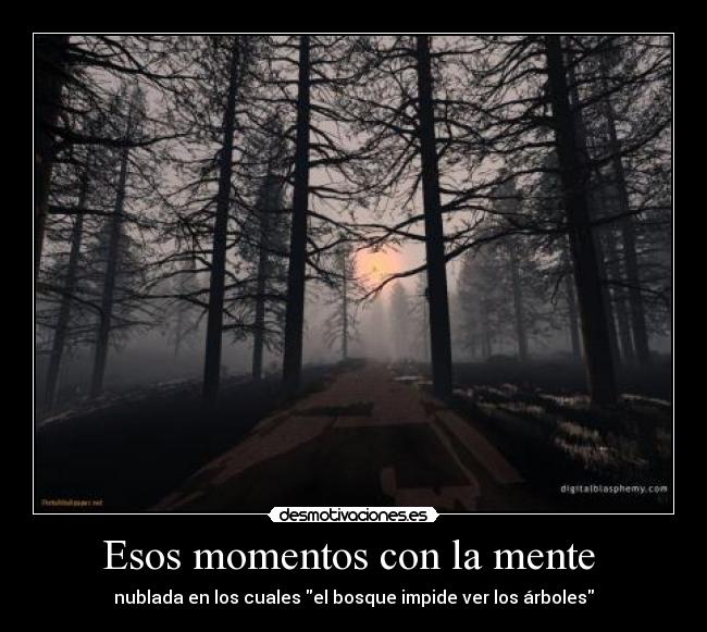 Esos momentos con la mente  - nublada en los cuales el bosque impide ver los árboles