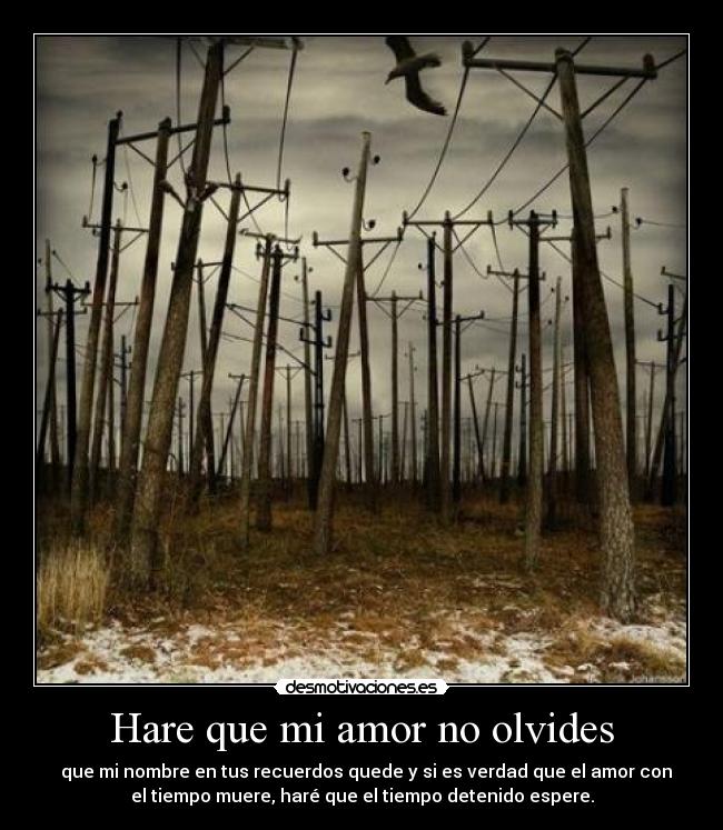 carteles amor amor recuerdo verdad desmotivaciones