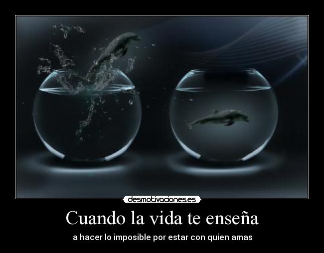 Cuando la vida te enseña -