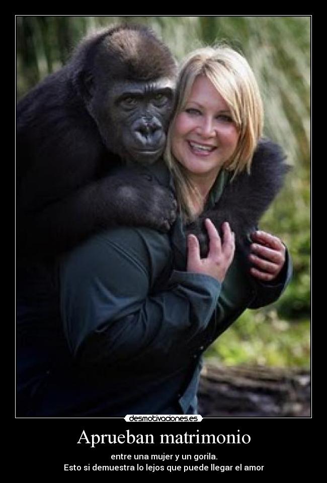 Aprueban matrimonio - entre una mujer y un gorila.
Esto si demuestra lo lejos que puede llegar el amor