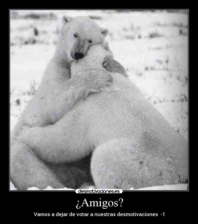 ¿Amigos? - 