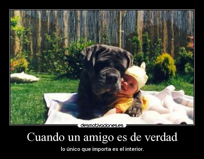 Cuando un amigo es de verdad - lo único que importa es el interior.