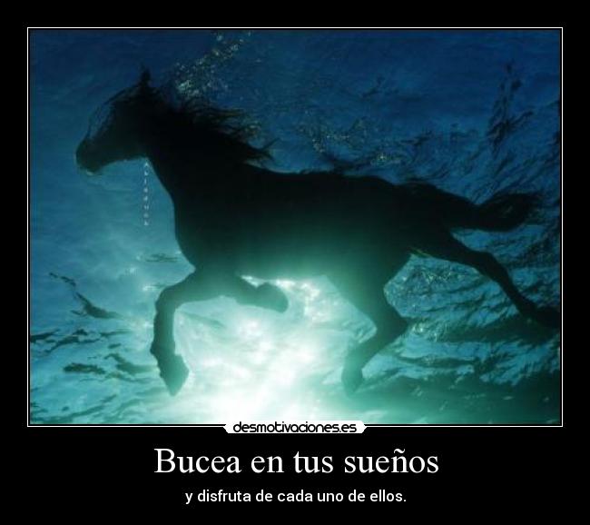 Bucea en tus sueños -