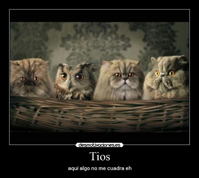 Tios -