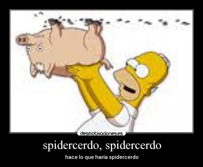 spidercerdo, spidercerdo - hace lo que haría spidercerdo