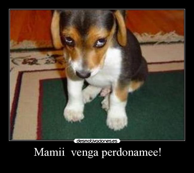 Mamii venga perdonamee! -