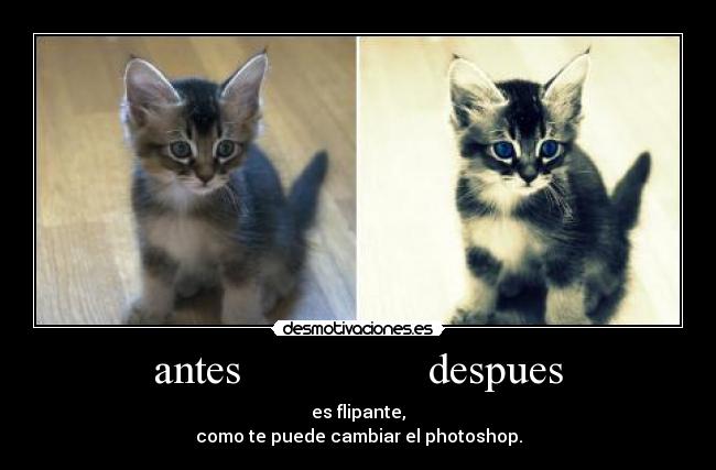 antes                 despues - es flipante,
como te puede cambiar el photoshop.