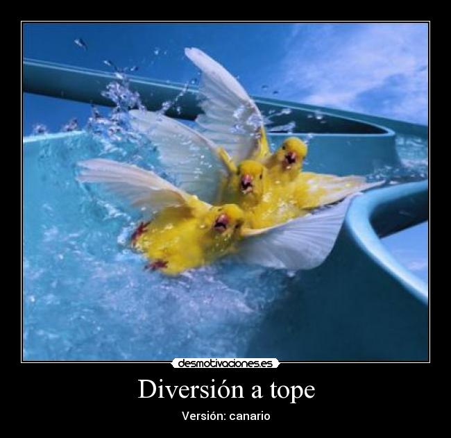 Diversión a tope - Versión: canario
