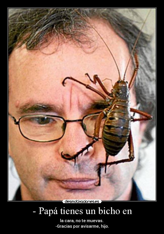 - Papá tienes un bicho en - la cara, no te muevas.
-Gracias por avisarme, hijo.