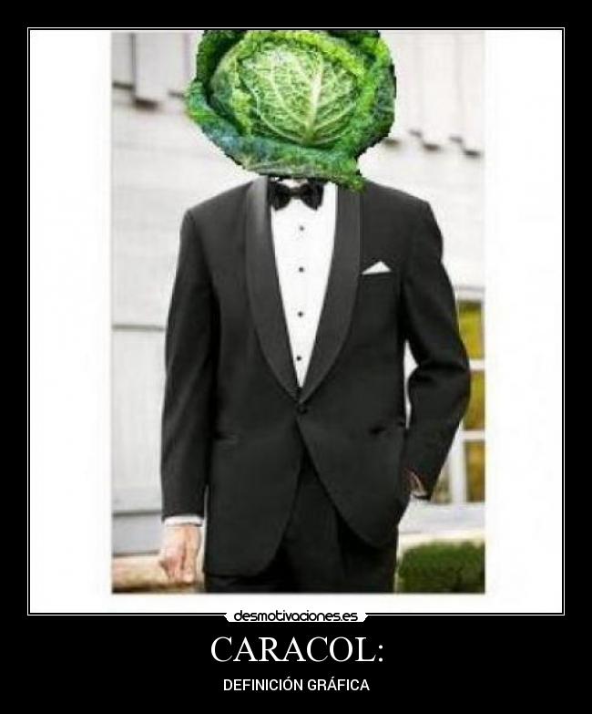CARACOL: - DEFINICIÓN GRÁFICA