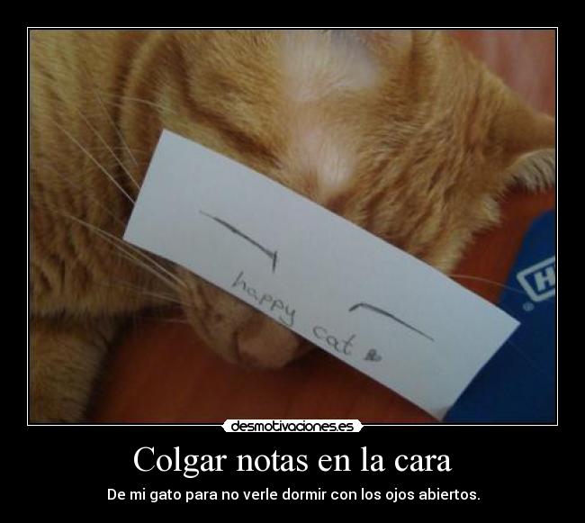 Colgar notas en la cara -