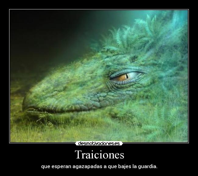 Traiciones - que esperan agazapadas a que bajes la guardia.