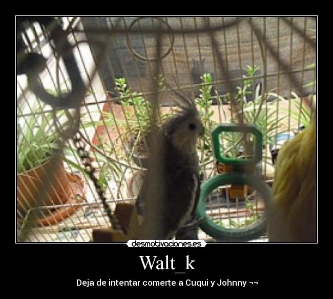 Walt_k - Deja de intentar comerte a Cuqui y Johnny ¬¬