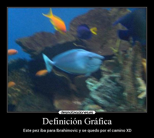 Definición Gráfica - Este pez iba para Ibrahimovic y se quedo por el camino XD