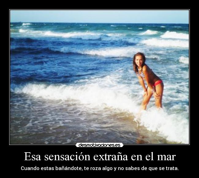 carteles alicia marin desmotivaciones