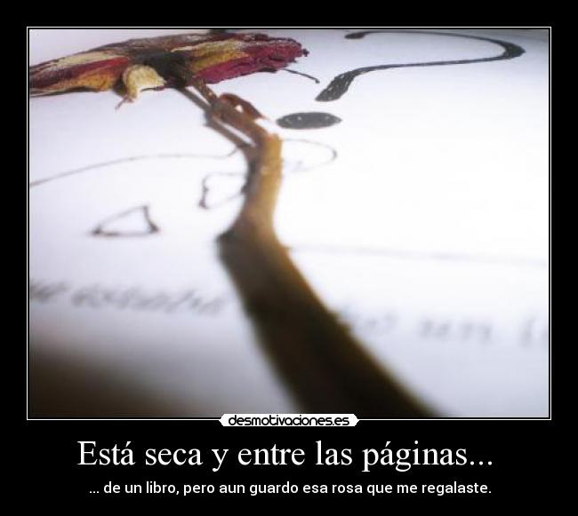 Está seca y entre las páginas... -