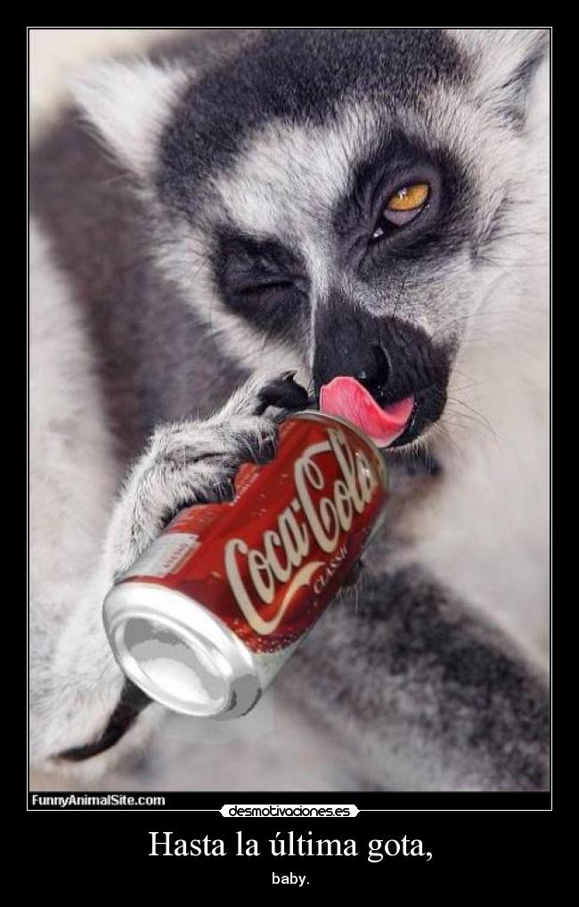 Hasta la última gota, - baby.