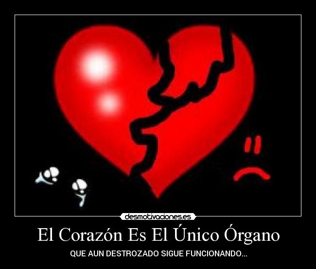 El Corazón Es El Único Órgano - QUE AUN DESTROZADO SIGUE FUNCIONANDO...