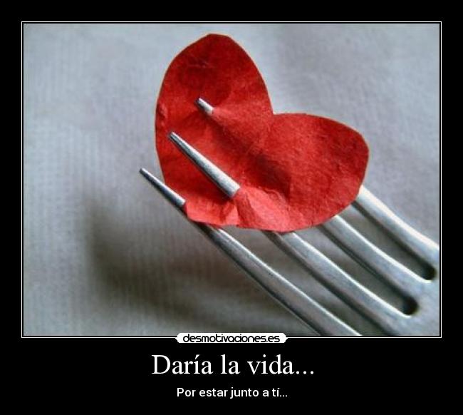 carteles vida abcdefggfedcba desmotivaciones