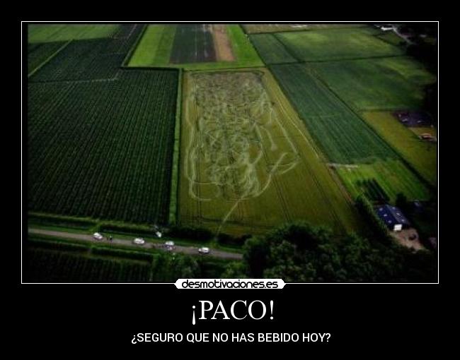 ¡PACO! - ¿SEGURO QUE NO HAS BEBIDO HOY?