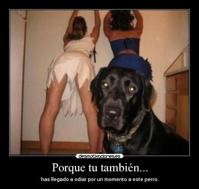 Porque tu también... - 