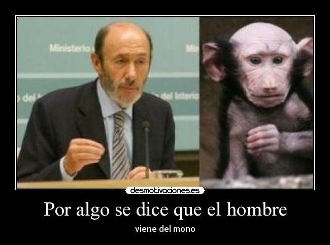 Por algo se dice que el hombre -