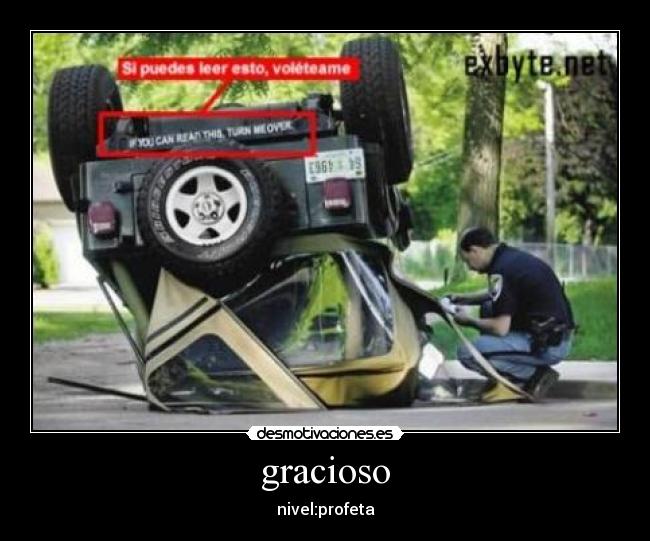 gracioso - nivel:profeta
