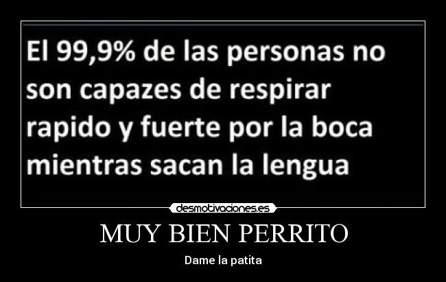 MUY BIEN PERRITO - Dame la patita