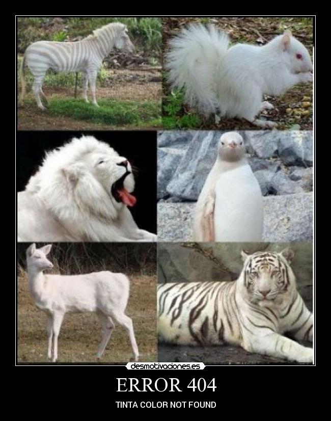 ERROR 404 - TINTA COLOR NOT FOUND