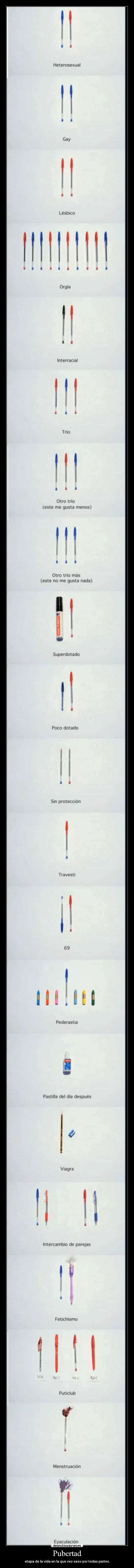 Pubertad - etapa de la vida en la que vez sexo por todas partes.
