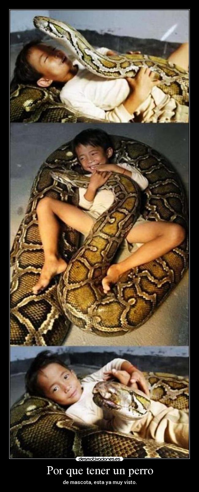 carteles serpiente desmotivaciones