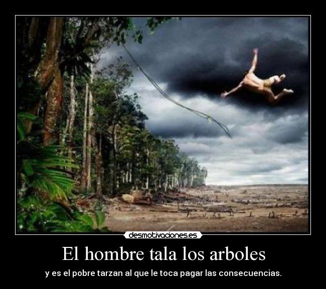 El hombre tala los arboles -
