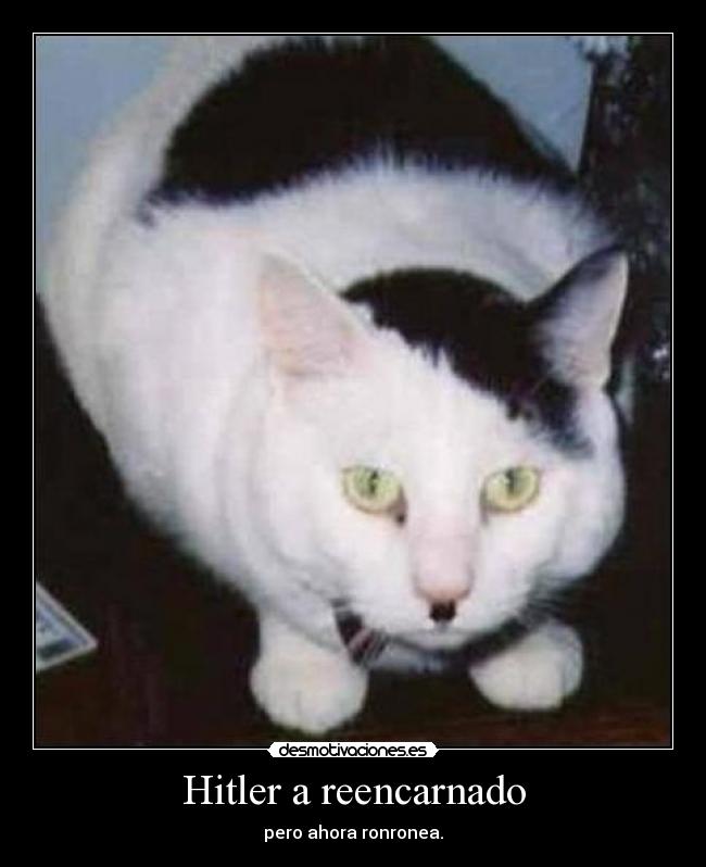 Hitler a reencarnado - 