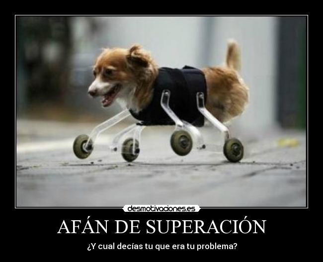 AFÁN DE SUPERACIÓN - ¿Y cual decías tu que era tu problema?