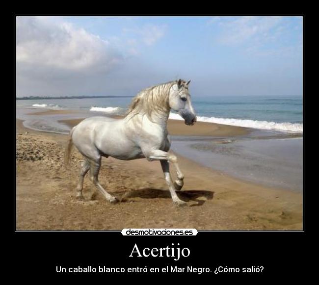 Acertijo - Un caballo blanco entró en el Mar Negro. ¿Cómo salió?