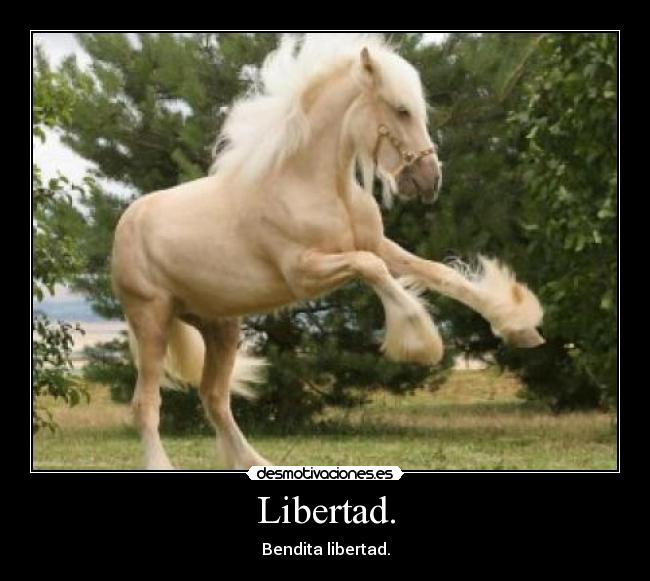 Libertad. - Bendita libertad.