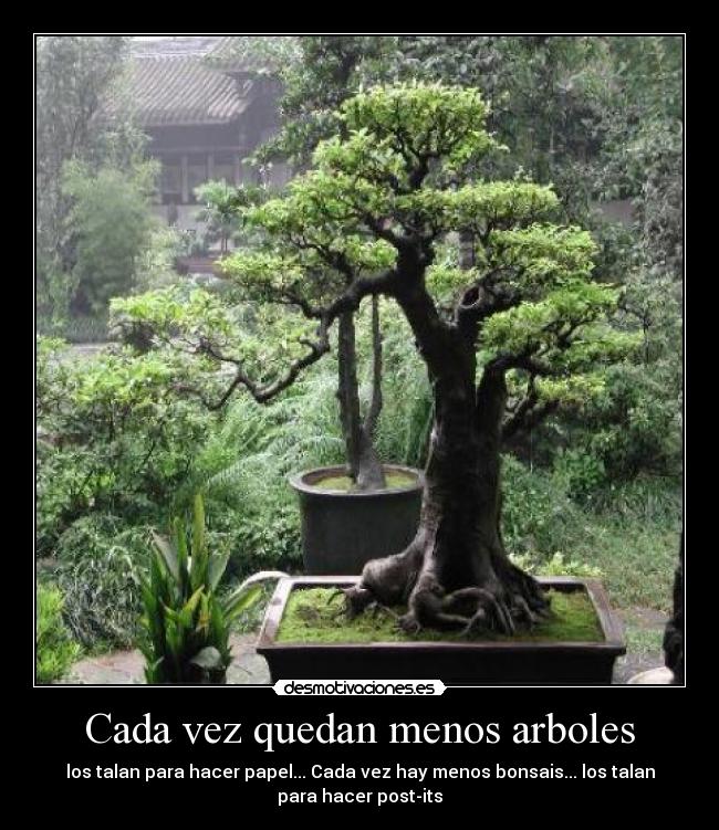 Cada vez quedan menos arboles - los talan para hacer papel... Cada vez hay menos bonsais... los talan
para hacer post-its