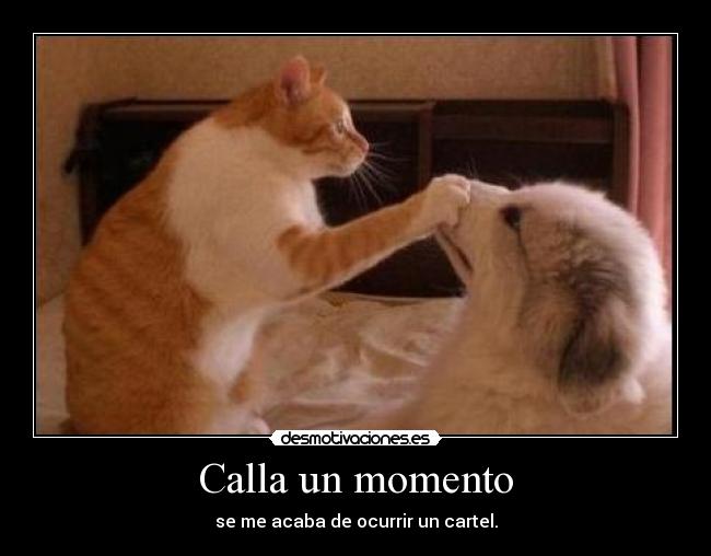 Calla un momento - 