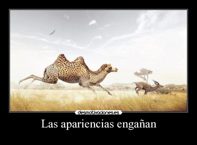 Las apariencias engañan -