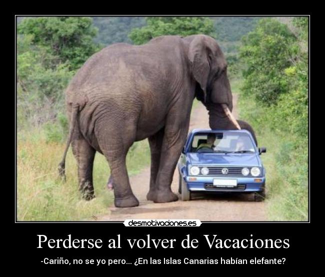 Perderse al volver de Vacaciones -