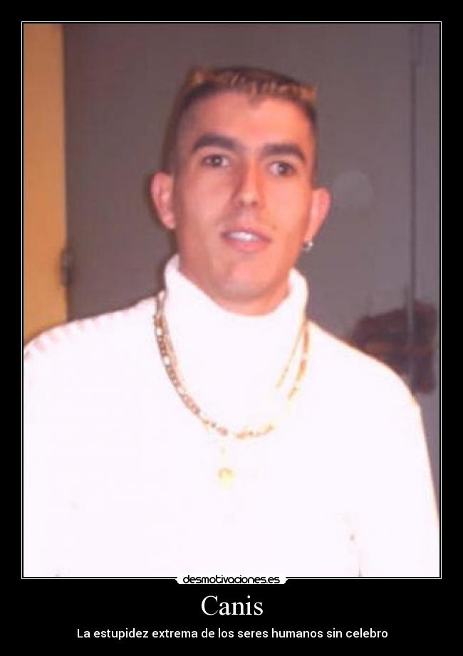 Canis - La estupidez extrema de los seres humanos sin celebro