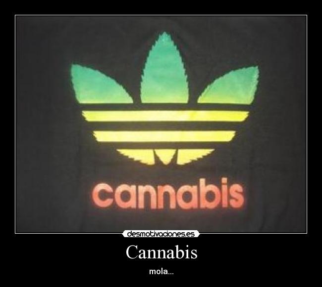 Cannabis - mola...
