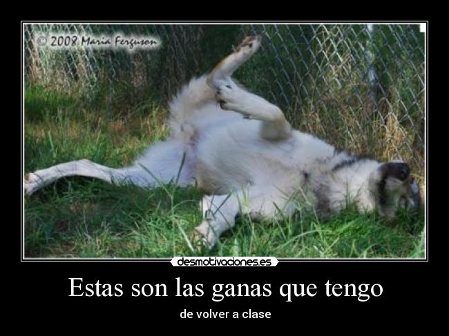 Estas son las ganas que tengo - de volver a clase