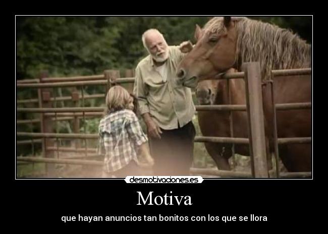 Motiva - 